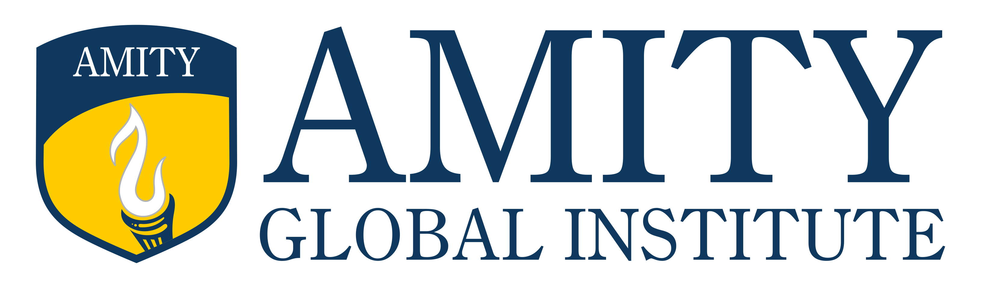 新加坡阿米提全球学院